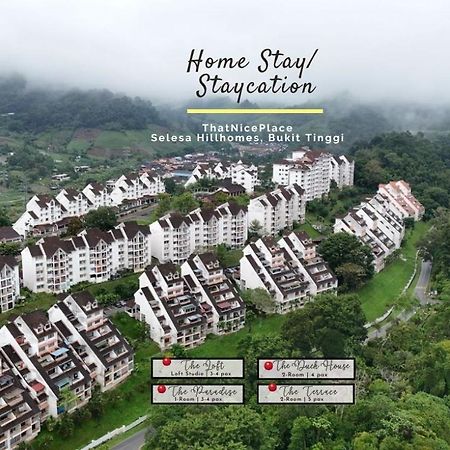 Thatniceplace In Selesa Hillhome, Bukit Tinggi, Bentong, Genting Eksteriør bilde